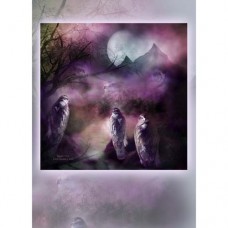 CAROL CAVALARIS COLLECTION Mystic Visit